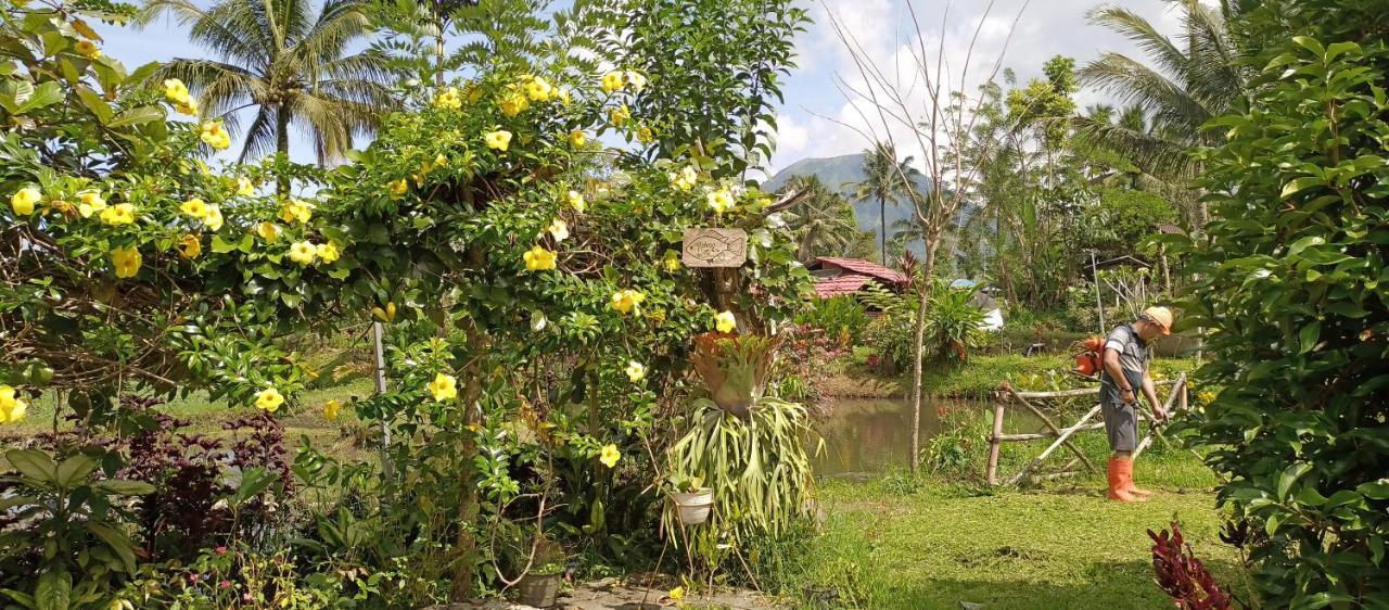 Talaga Tomohon Home Stay And Fishing Pond المظهر الخارجي الصورة