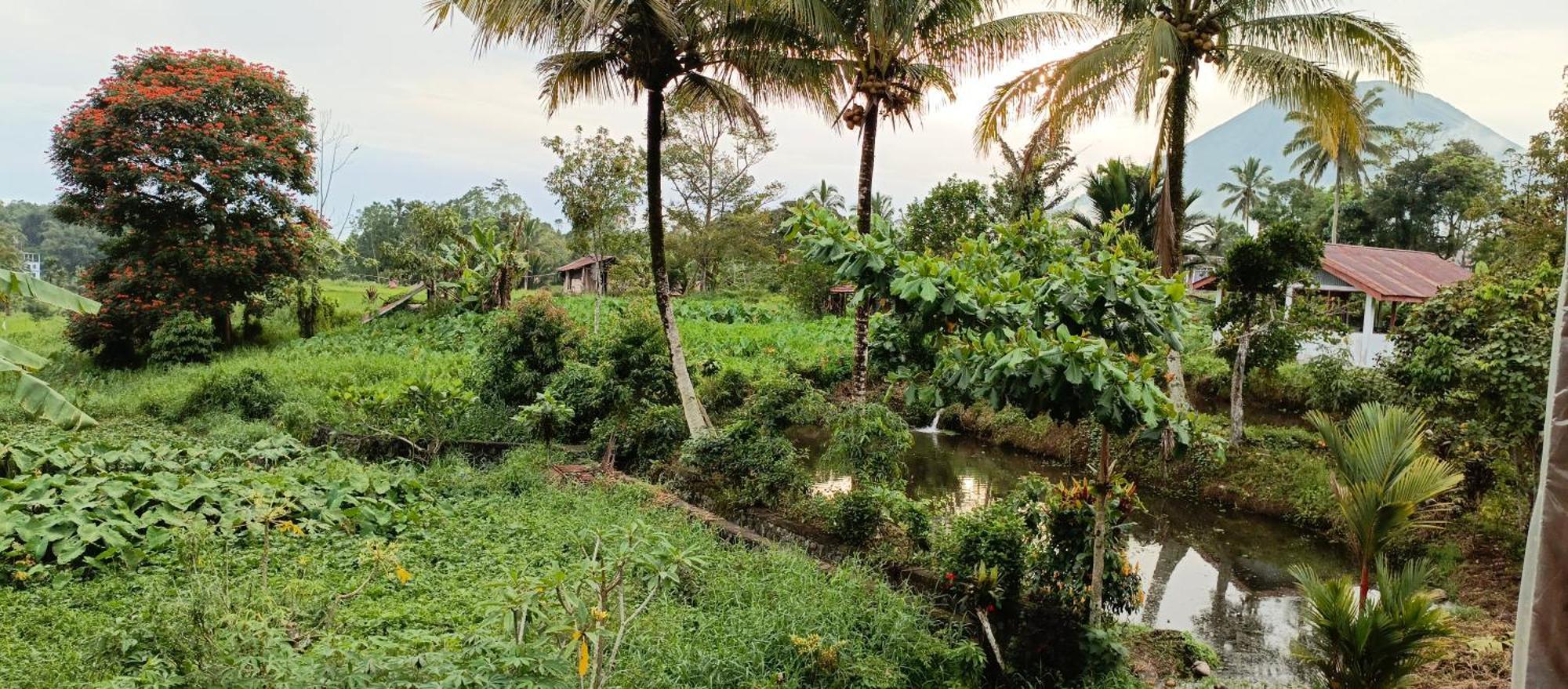Talaga Tomohon Home Stay And Fishing Pond المظهر الخارجي الصورة