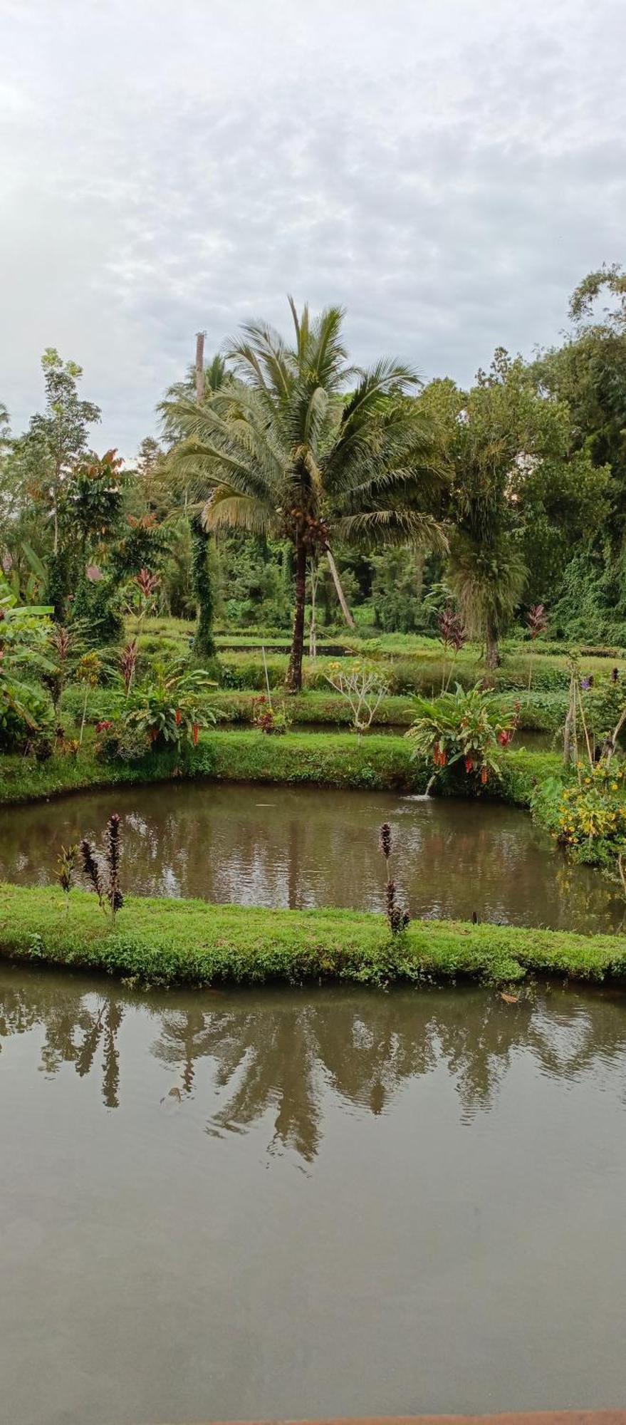 Talaga Tomohon Home Stay And Fishing Pond المظهر الخارجي الصورة