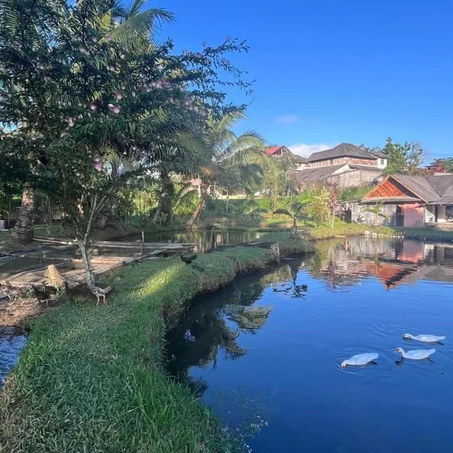 Talaga Tomohon Home Stay And Fishing Pond المظهر الخارجي الصورة